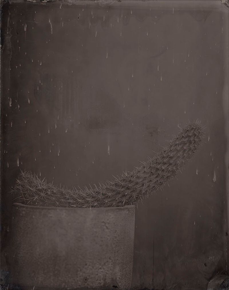 © Ohwada Ryo - Image from the qusamura-Honzo photography project