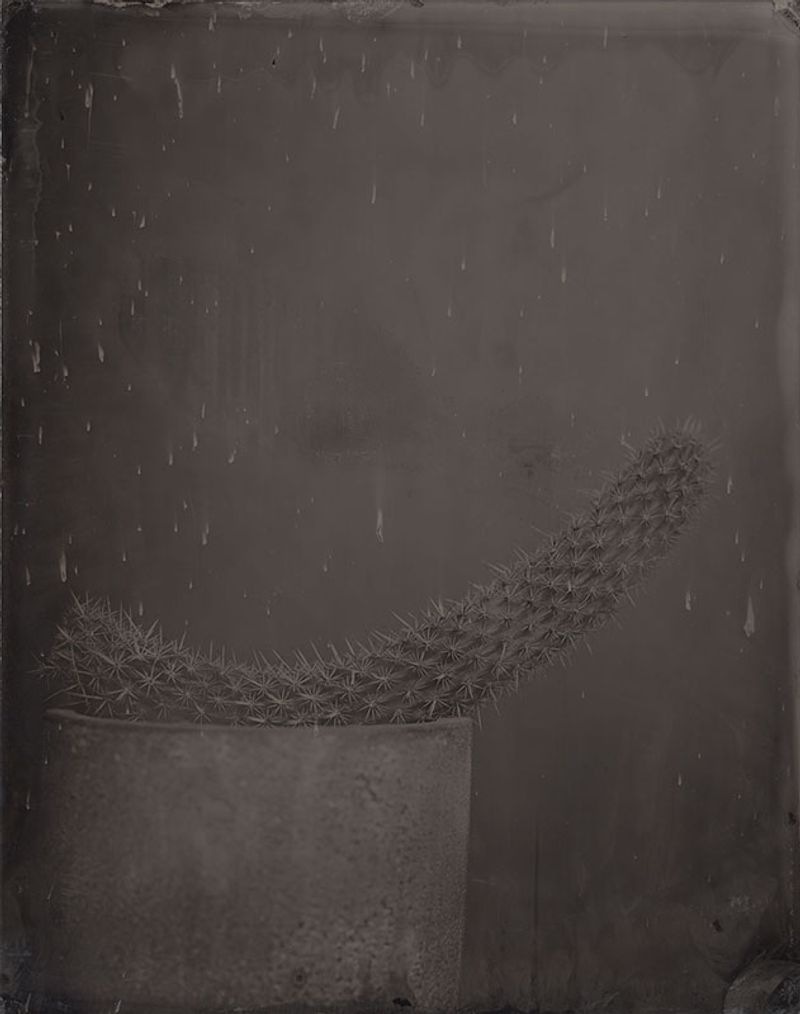 © Ohwada Ryo - Image from the qusamura-Honzo photography project