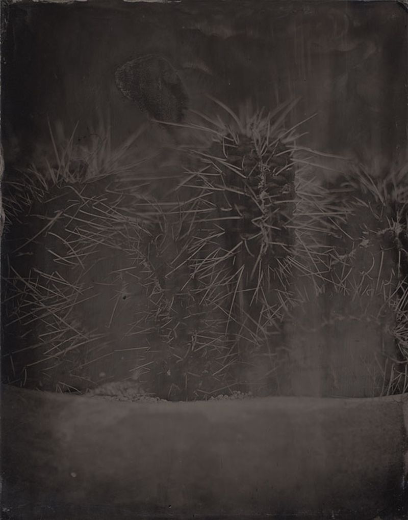 © Ohwada Ryo - Image from the qusamura-Honzo photography project