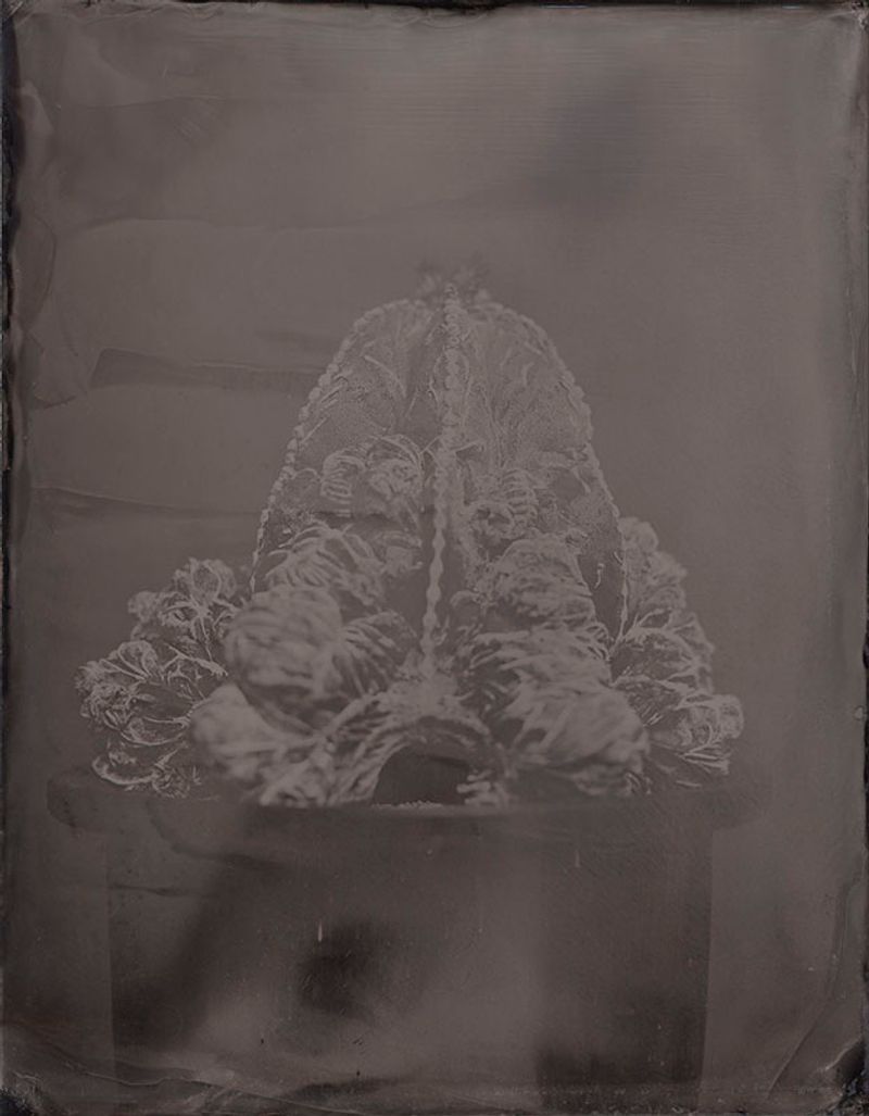 © Ohwada Ryo - Image from the qusamura-Honzo photography project