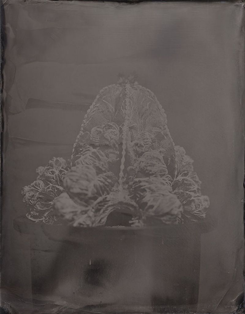 © Ohwada Ryo - Image from the qusamura-Honzo photography project