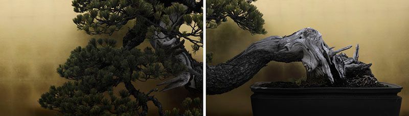 © Ohwada Ryo - Seiryu