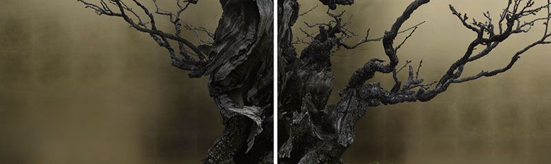 © Ohwada Ryo - Plum
