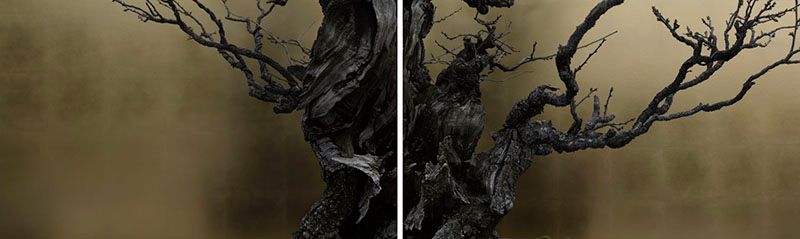 © Ohwada Ryo - Plum