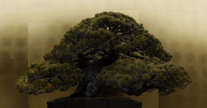 © Ohwada Ryo - Heinz