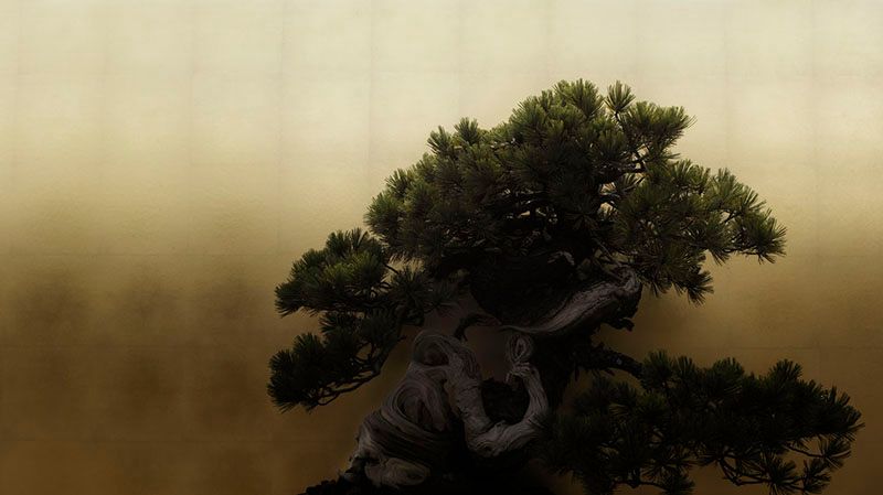 © Ohwada Ryo - Uzushio