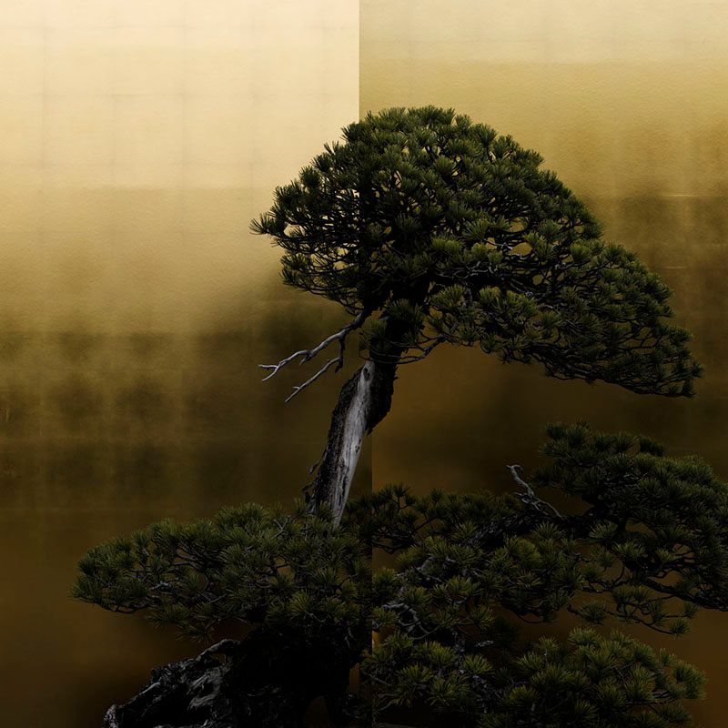 © Ohwada Ryo - Chihiro