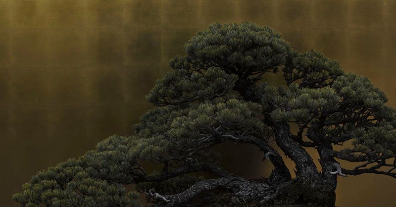 © Ohwada Ryo - Goyomatsu