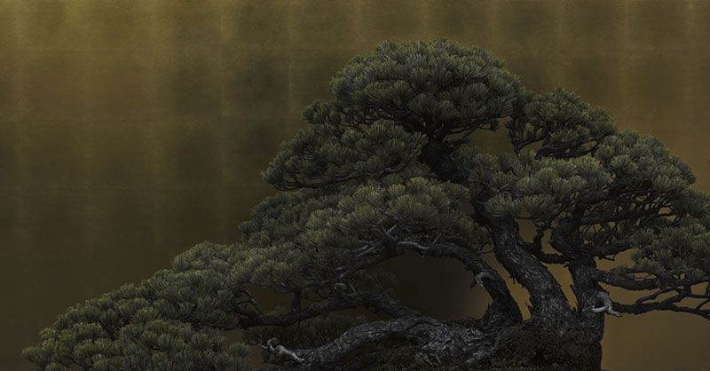 © Ohwada Ryo - Goyomatsu