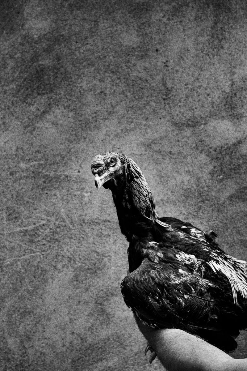 © Camillo Pasquarelli - Image from the Monsoons never cross the mountains photography project