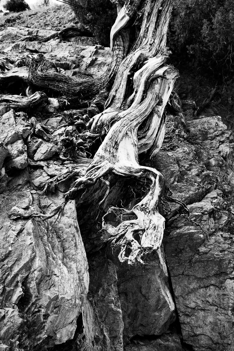 © Camillo Pasquarelli - Image from the Monsoons never cross the mountains photography project