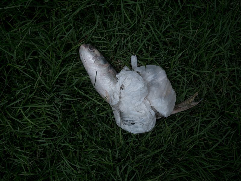 © Isabella Lanave - Image from the Fatima photography project