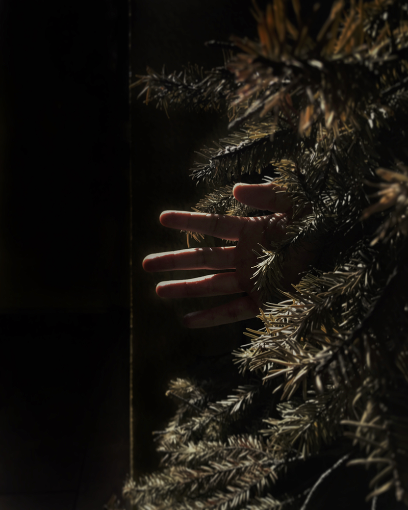 © Xtabay Alderete - Eternal Return, like a tree
