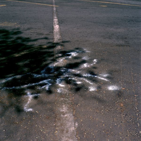 © Xtabay Alderete - Digital print on cotton paper
