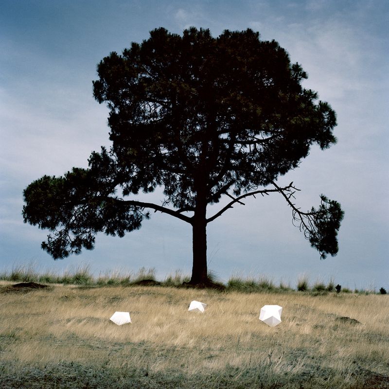 © Xtabay Alderete - Digital print on cotton paper