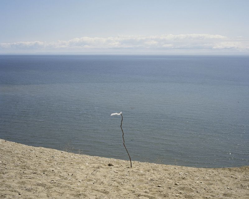 © Ethan Jones - Saint Lawrence River. Tadoussac