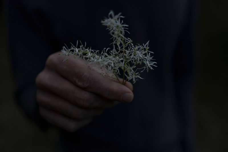 © Monica Ranieri - Image from the NYM photography project