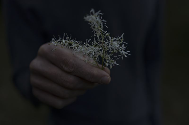 © Monica Ranieri - Image from the NYM photography project