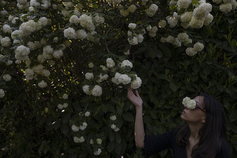 © Monica Ranieri - Image from the NYM photography project