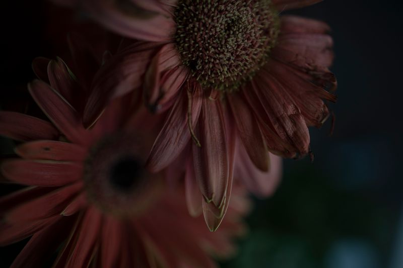 © Monica Ranieri - Image from the NYM photography project