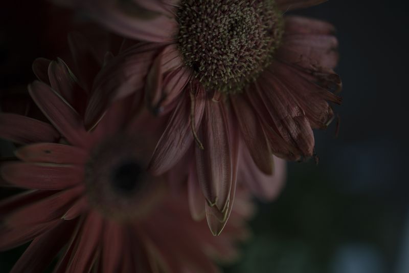 © Monica Ranieri - Image from the NYM photography project