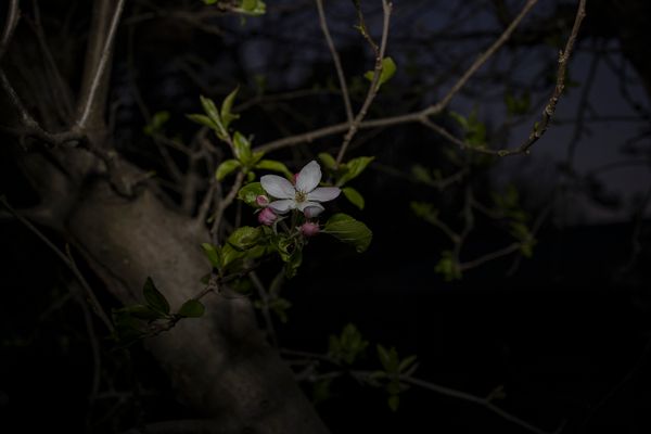 © Monica Ranieri - Image from the NYM photography project