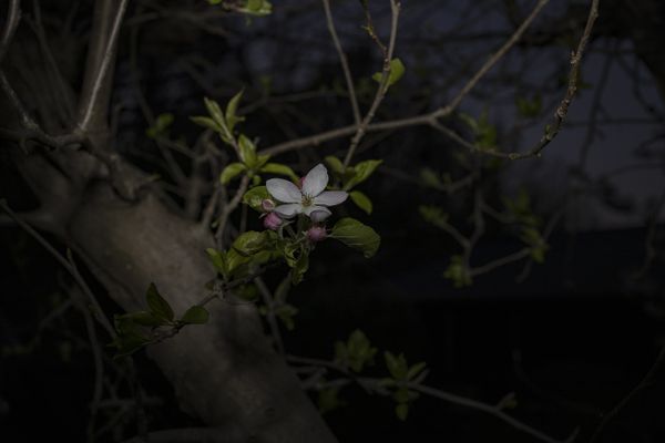 © Monica Ranieri - Image from the NYM photography project