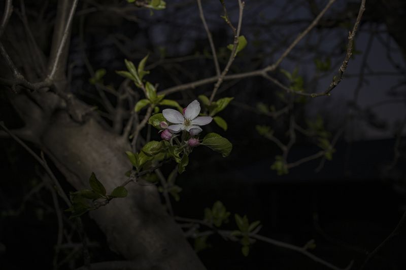 © Monica Ranieri - Image from the NYM photography project