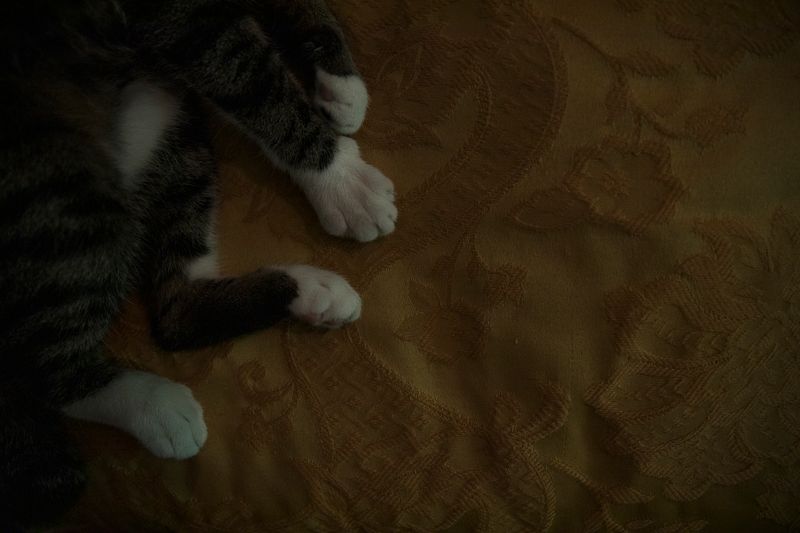 © Monica Ranieri - Image from the NYM photography project