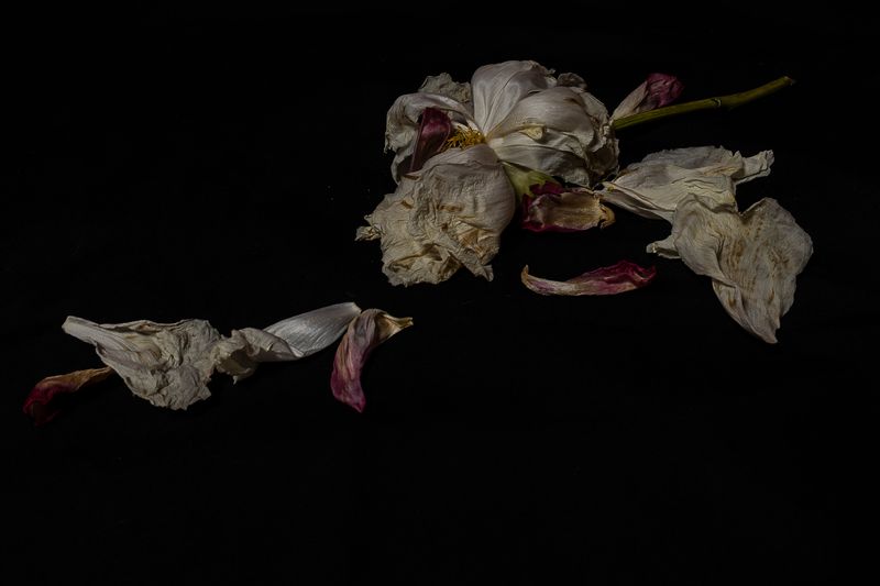 © Monica Ranieri - Image from the NYM photography project