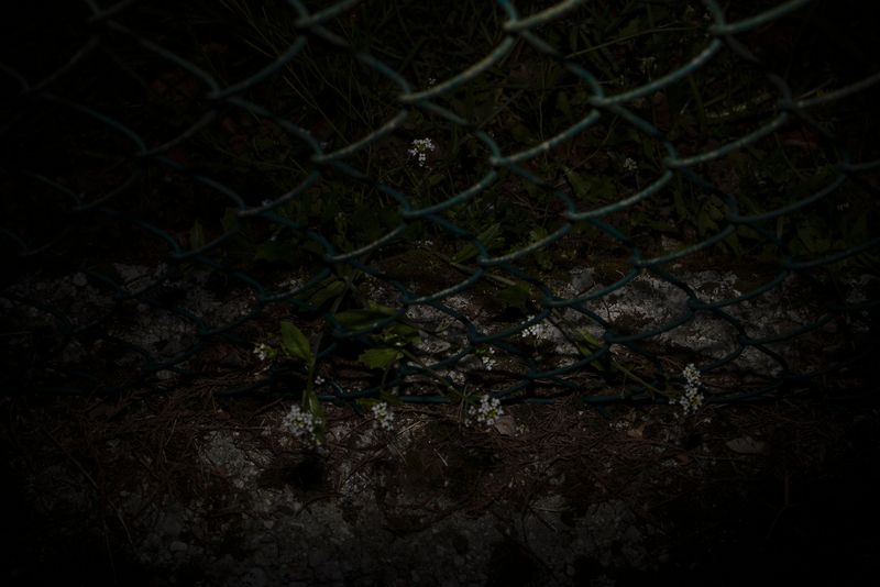 © Monica Ranieri - Image from the NYM photography project