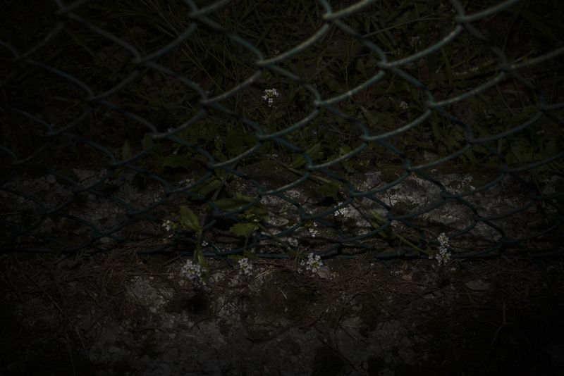 © Monica Ranieri - Image from the NYM photography project