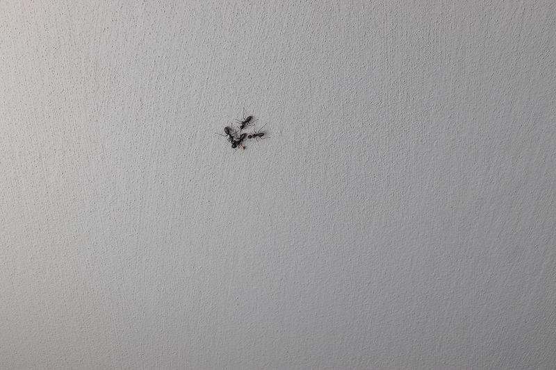 © Monica Ranieri - Image from the NYM photography project