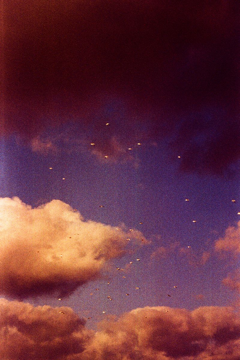 © Clara Chichin - From the serie  " its successive disappearances "