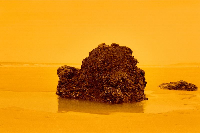 © Clara Chichin - From the serie  " its successive disappearances "