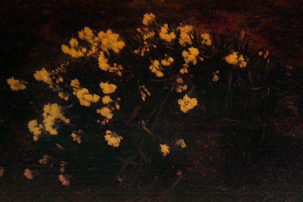 © Clara Chichin - From the serie  " its successive disappearances "