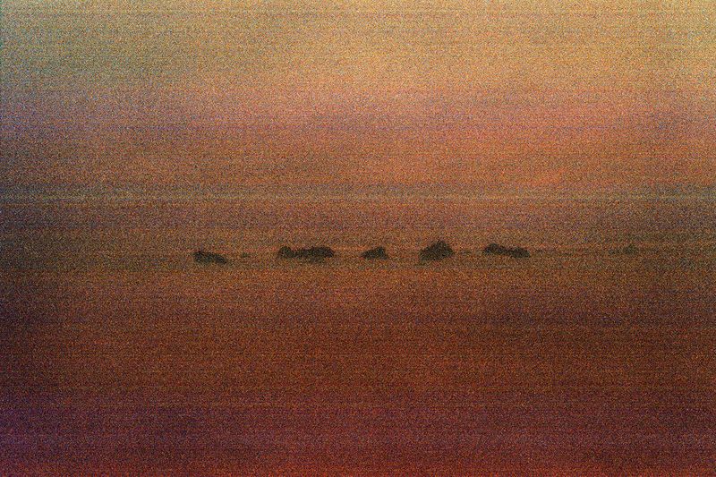 © Clara Chichin - From the serie  " its successive disappearances "