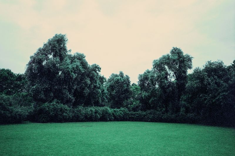 © Clara Chichin - Image from the The back of trees photography project