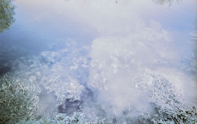 © Clara Chichin - Image from the The back of trees photography project