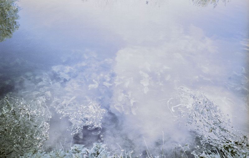 © Clara Chichin - Image from the The back of trees photography project