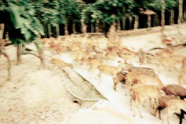 © Clara Chichin - Untitled, serie "Under the eyes that few minutes exhaust", 2009 - 2019