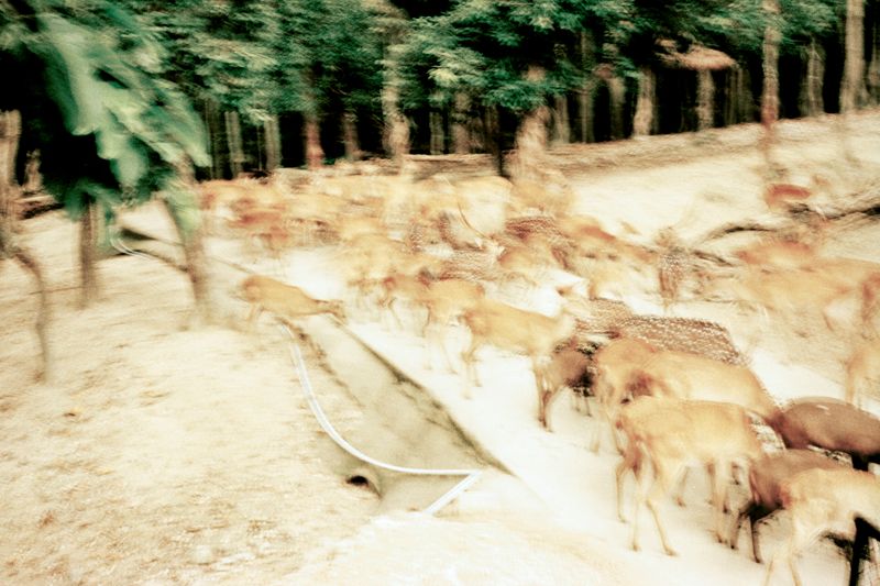 © Clara Chichin - Untitled, serie "Under the eyes that few minutes exhaust", 2009 - 2019