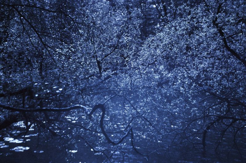 © Clara Chichin - Untitled, serie "Under the eyes that few minutes exhaust", 2009 - 2019