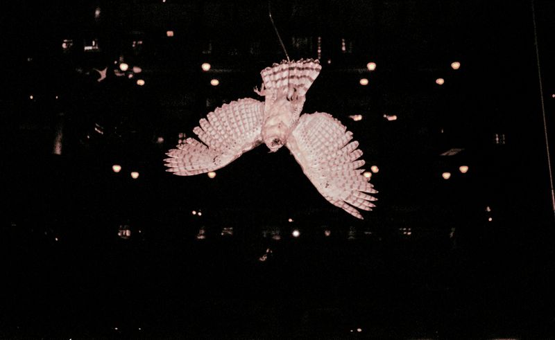 © Clara Chichin - Untitled, serie "Under the eyes that few minutes exhaust", 2009 - 2019