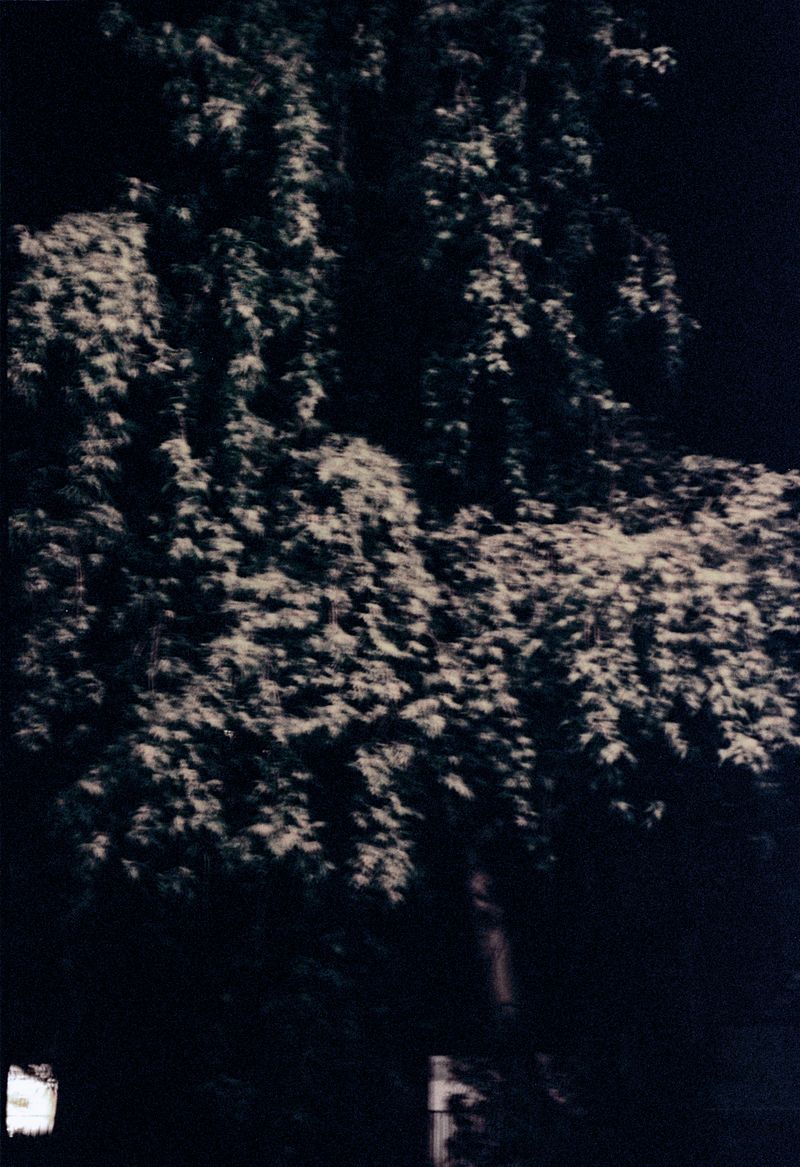 © Clara Chichin - Untitled, serie "Under the eyes that few minutes exhaust", 2009 - 2019