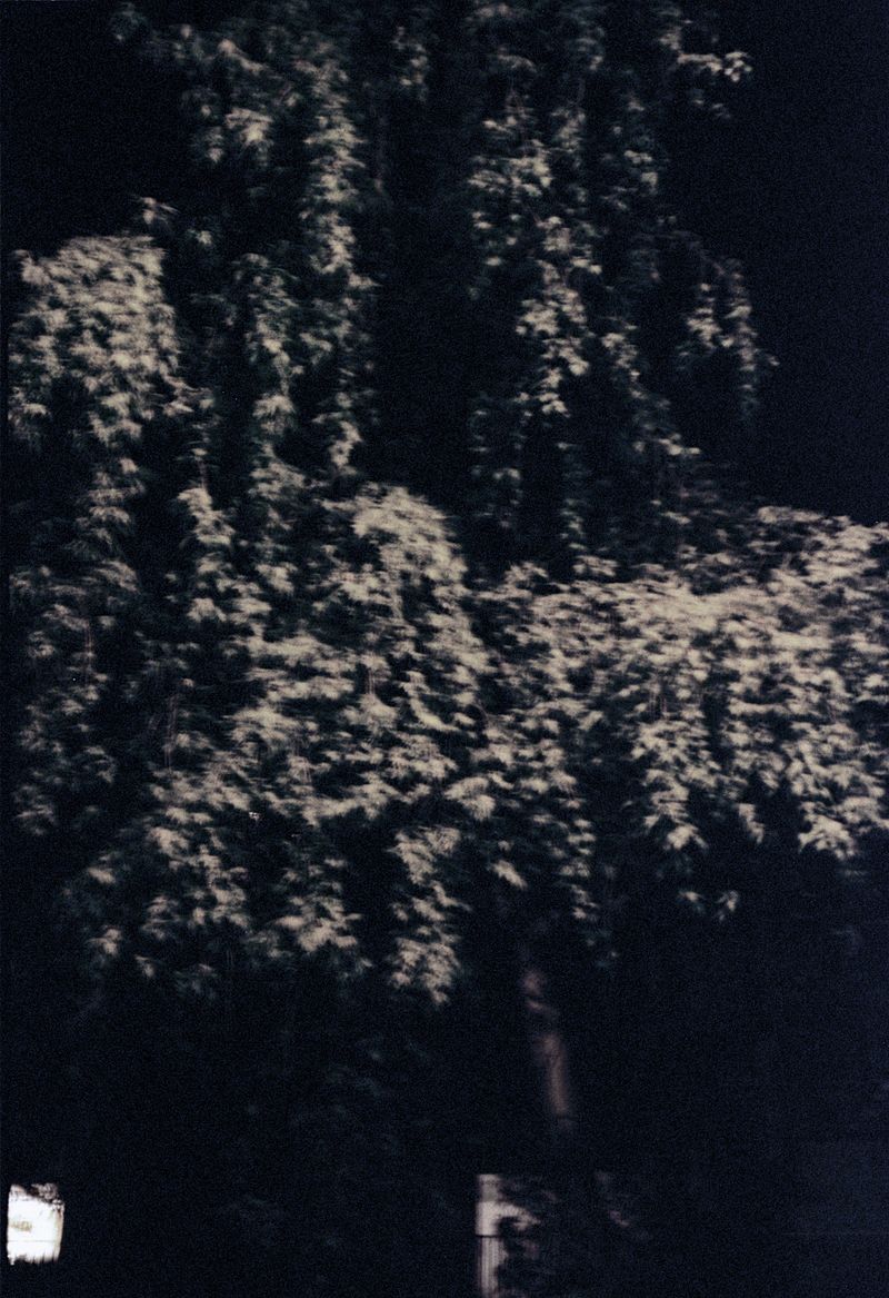 © Clara Chichin - Untitled, serie "Under the eyes that few minutes exhaust", 2009 - 2019