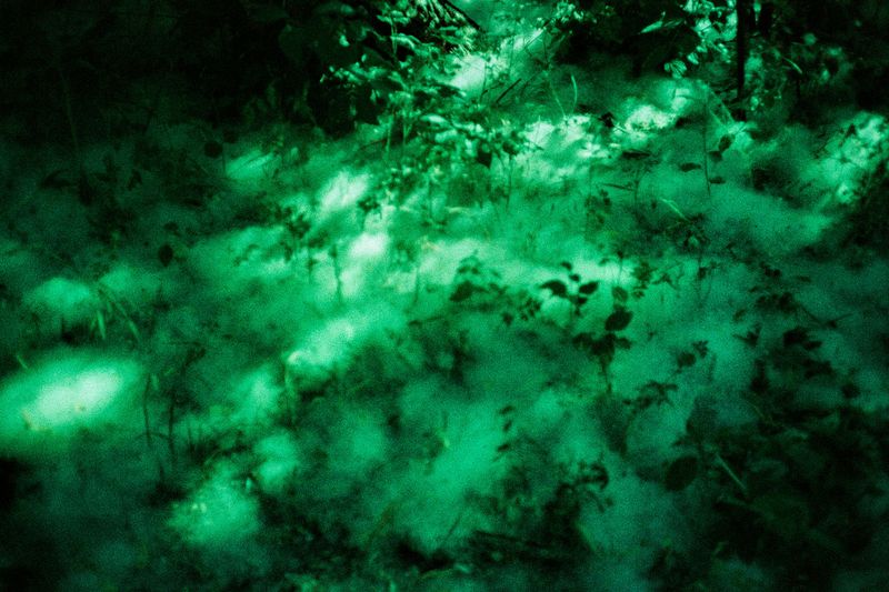 © Clara Chichin - Image from the It is then possible to risk dreaming photography project