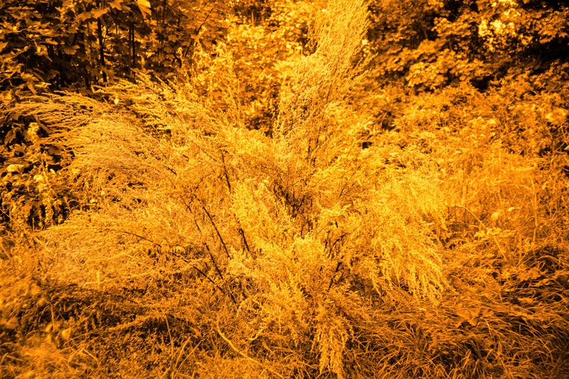 © Clara Chichin - Image from the It is then possible to risk dreaming photography project