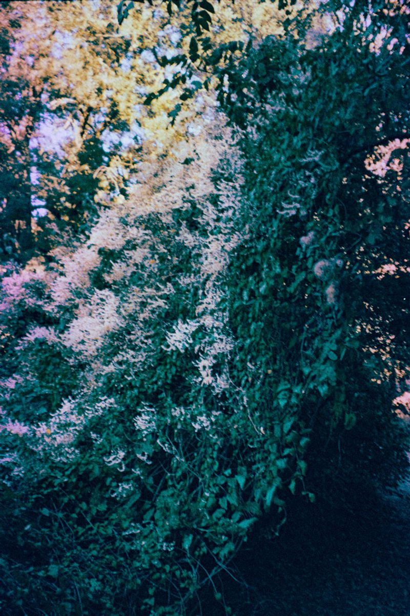 © Clara Chichin - Image from the It is then possible to risk dreaming photography project