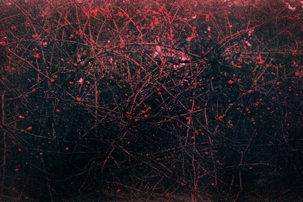 © Clara Chichin - Image from the It is then possible to risk dreaming photography project